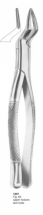  Fig. 65 upper incisors and roots 